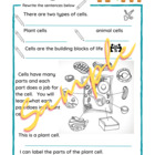 5th Grade Plant And Animal Cells Worksheets