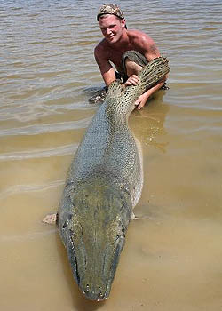 Alligator Gar Fishing In Trinity River