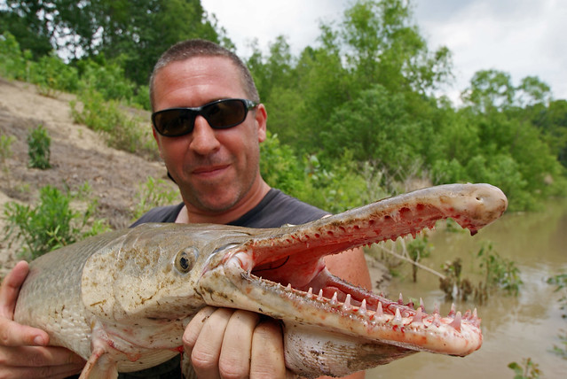 Alligator Gar Fishing In Trinity River