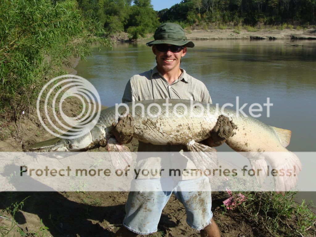 Alligator Gar Pictures River Monsters