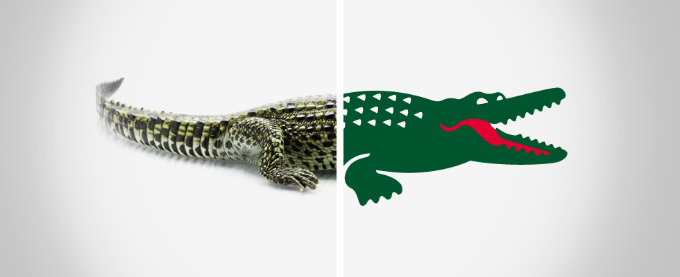 Alligator Logo Clothing Brand