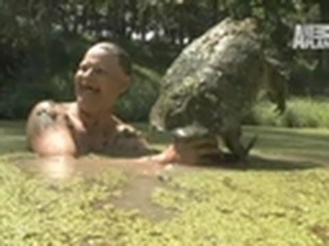 Alligator Snapping Turtle Turtle Man