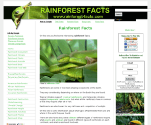 Plants And Animals In The Rainforest Facts