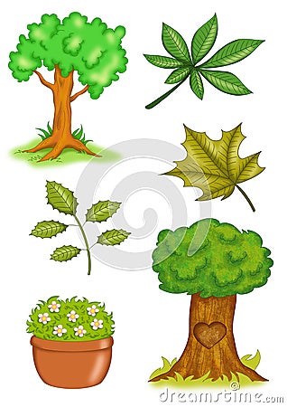 Plants And Trees Images