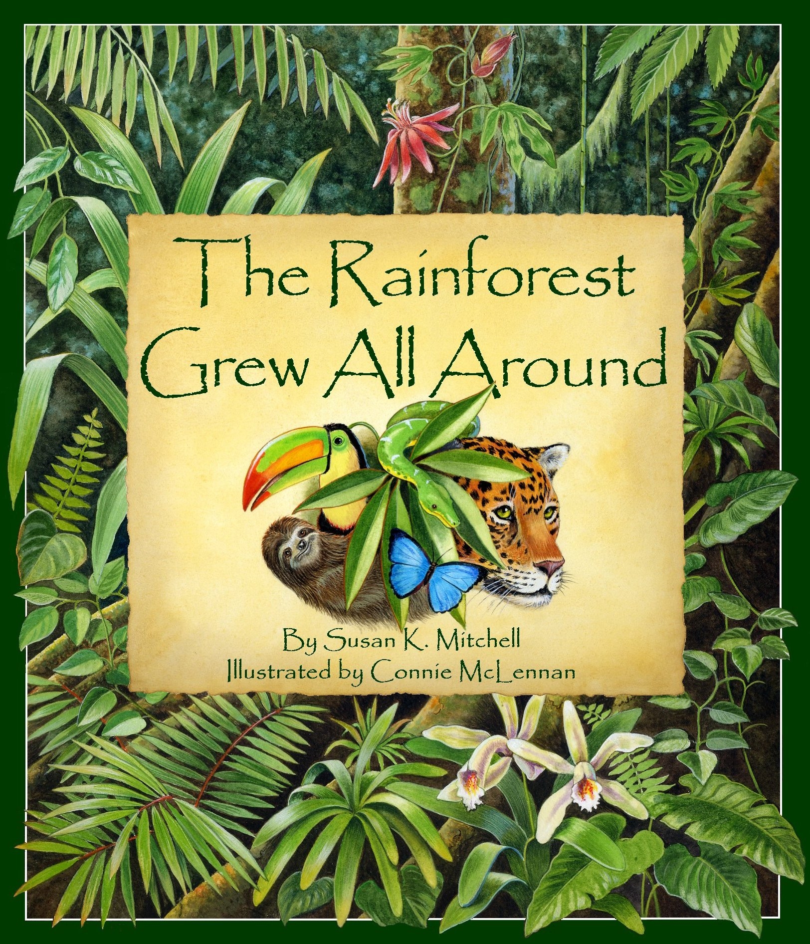 Plants In The Rainforest For Kids