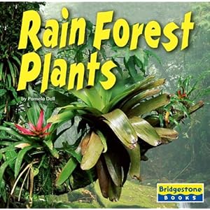 Plants In The Rainforest For Kids